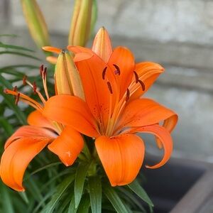 Meet your Posher, Emilyann